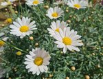 20220126_020231.jpg
