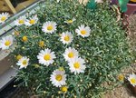 20220126_020057.jpg