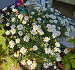 20220126_015645.jpg