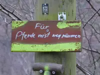 P1060344.JPG