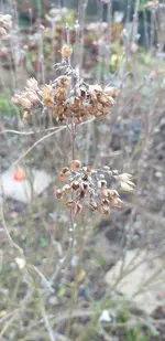 20220126_130645.webp