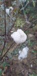 20220126_130655.jpg