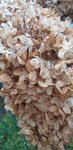 20220126_130733.jpg