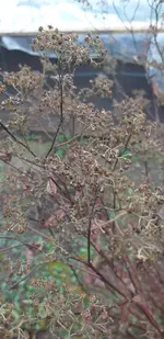 20220126_130758.webp