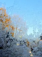 1643270514616 (2).webp