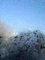 1643270514631 (2).webp