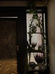 17C08C97-08C6-4C4A-AFAA-6284352BD763.jpeg