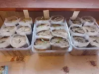 IMG_20220127_143524.webp