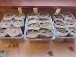 IMG_20220127_143524.jpg