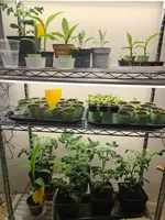 20220128_144747.jpg