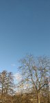 20220128_152211.jpg
