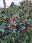 IMG_20220130_110525_1.jpg