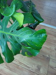 IMG_20220106_120152_2.jpg