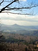 1643552824754 (2).webp