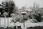 Winter  0721.JPG