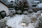 Winter  0221.JPG