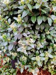 IMG_20220202_103650~2.jpg