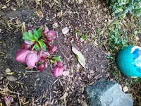 IMG_20220202_103704_1~2.webp