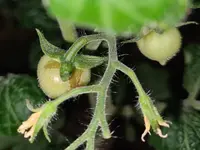 20220203_003609.webp