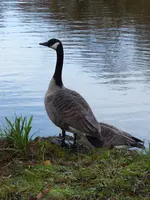 P1060634.webp