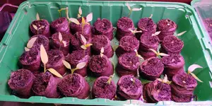 IMG_20220203_160907.webp