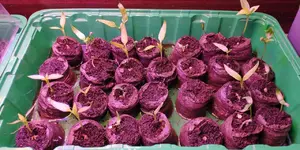 IMG_20220203_160947.webp