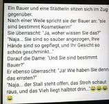 bauer.webp