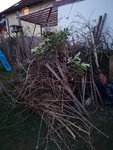IMG_20220205_173656.jpg