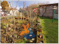 Garten Anfang Februar im Sonnenschein.webp
