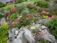 Ausschnitt Alp 2011_24.05.2021.webp