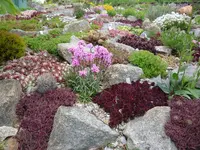 Ausschnitt Alp 2008_24.05.2021.webp