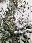 IMG_20210117_105517_2.jpg