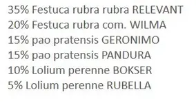 4.webp