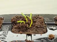 20220207_170905.jpg