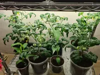 20220207_170052.jpg