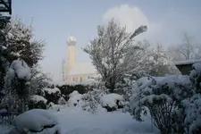 Winter9019s.webp