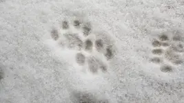 20181216_083953.webp