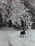 20170203_155408 (2).jpg