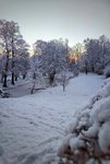 IMG_20211226_0818520-01.jpeg