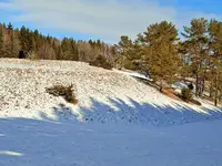 1644390064268 (2).webp