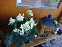 DSC02276.webp