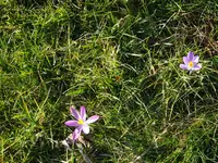 DSC02275.webp