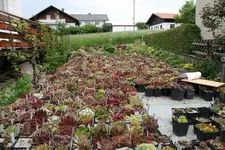0621.webp