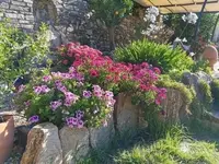 IMG_20200708_091956Kiesterrasse.webp