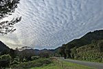 IMG_4824v (2).JPG