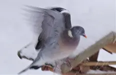 ftwttbwrbFeb22.webp