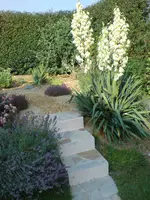 Bild 107.webp