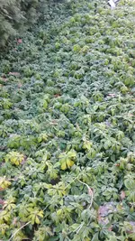 20220212_093902.webp