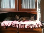 14F02435-4F82-4776-873B-7CC08BED9B30.jpeg