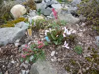 P1070108.webp